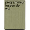 Programmeur tussen de Wal door Ruud Smit