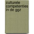 Culturele competenties in de GGZ