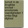 Tumult in de brugklas Sociaal - emotionele vaardigheden 1 vmbo-bkgt Digitaal door Petra Jonker