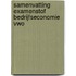 Samenvatting Examenstof Bedrijfseconomie VWO