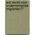Wat werkt voor ondernemende migranten?*