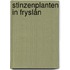 Stinzenplanten in Fryslân