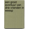 Een groot avontuur van drie vrienden in Weesp door Frank Franke