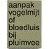 Aanpak vogelmijt of bloedluis bij pluimvee