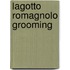 Lagotto Romagnolo Grooming
