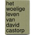 Het woelige leven van David Castorp