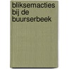 Bliksemacties bij de Buurserbeek door Peter de Zwaan