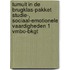 Tumult in de brugklas-pakket Studie-, sociaal-emotionele vaardigheden 1 vmbo-bkgt