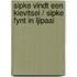 Sipke vindt een kievitsei / Sipke fynt in ljipaai