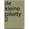 De kleine Piketty 2 door Wouter van Bergen