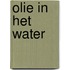 Olie in het water