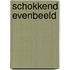 Schokkend evenbeeld