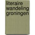 Literaire wandeling Groningen