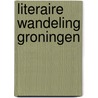 Literaire wandeling Groningen door Roos Custers