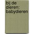 Bij de dieren: Babydieren