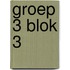 groep 3 blok 3