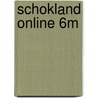 Schokland Online 6M door Sander Heebels