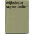 Wijksteun Super-Actief