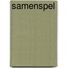 Samenspel by Marius Touwen