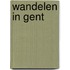 Wandelen in Gent