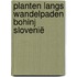Planten langs wandelpaden Bohinj Slovenië