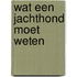 Wat een jachthond moet weten