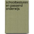 Schoolbesturen en passend onderwijs