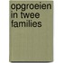 Opgroeien in twee families