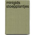 Minigids Stoepplantjes