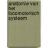 Anatomie van het locomotorisch systeem