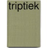 Triptiek by Mark Delrue