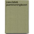 Casuïstiek jaarrekeninglezen