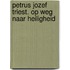 Petrus Jozef Triest. Op weg naar heiligheid