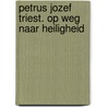 Petrus Jozef Triest. Op weg naar heiligheid door René Stockman
