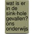 wat is er in de sink-hole gevallen? Ons onderwijs