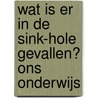 wat is er in de sink-hole gevallen? Ons onderwijs door Theodor Holman