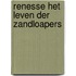 Renesse Het leven der Zandloapers