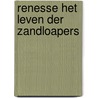 Renesse Het leven der Zandloapers door Henk Blom