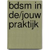 BDSM in de/jouw praktijk door S. Sebastianus