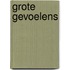 Grote Gevoelens