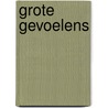 Grote Gevoelens door Jan M. Meier