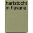 Hartstocht in Havana