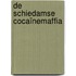 De Schiedamse cocaïnemaffia