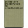 Pincode 6e ed onderbouw havo FLEX leeropdrachtenboek door Onbekend
