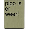 Pipo is er weer! door Wim Meuldijk