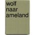 Wolf naar Ameland