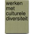 Werken met culturele diversiteit