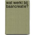 Wat werkt bij baancreatie?