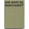 Wat werkt bij baancreatie? by Saskia Andriessen