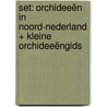 Set: Orchideeën in Noord-Nederland + Kleine orchideeëngids door Hans Dekker